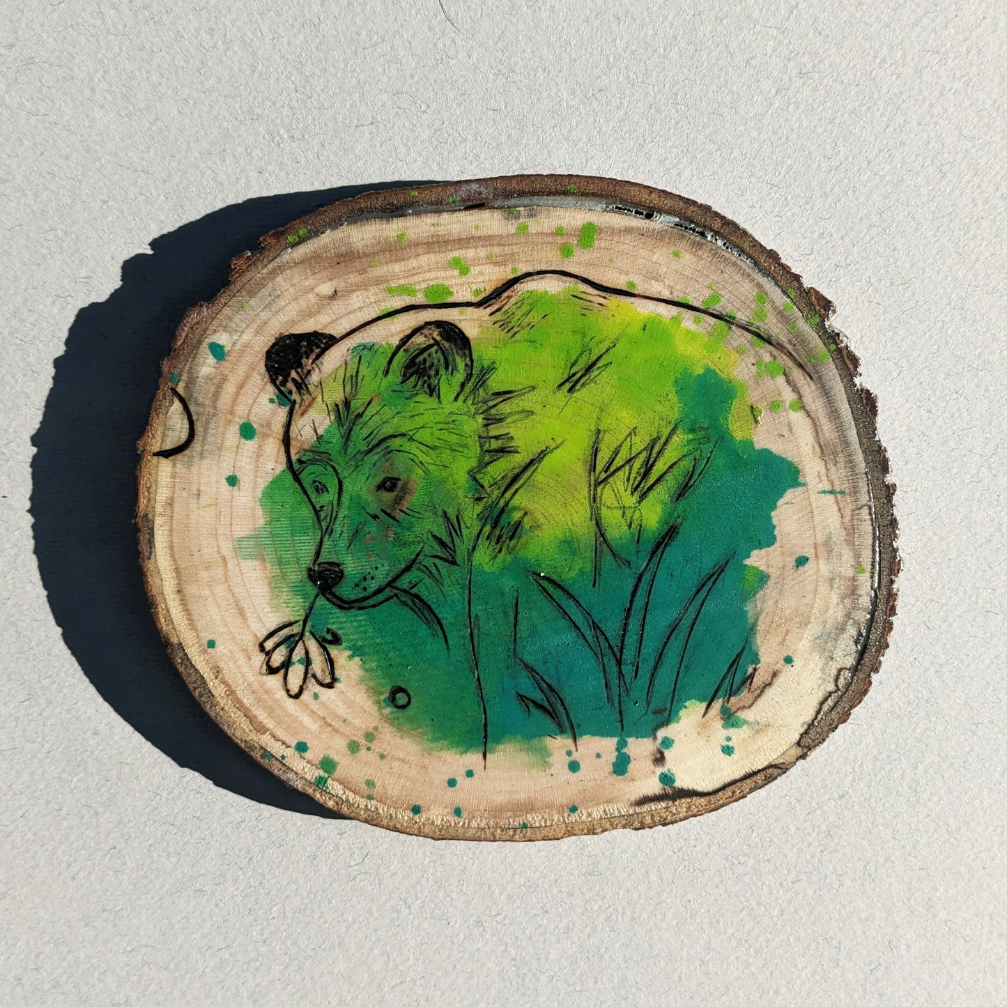 Bears 2 coaster
