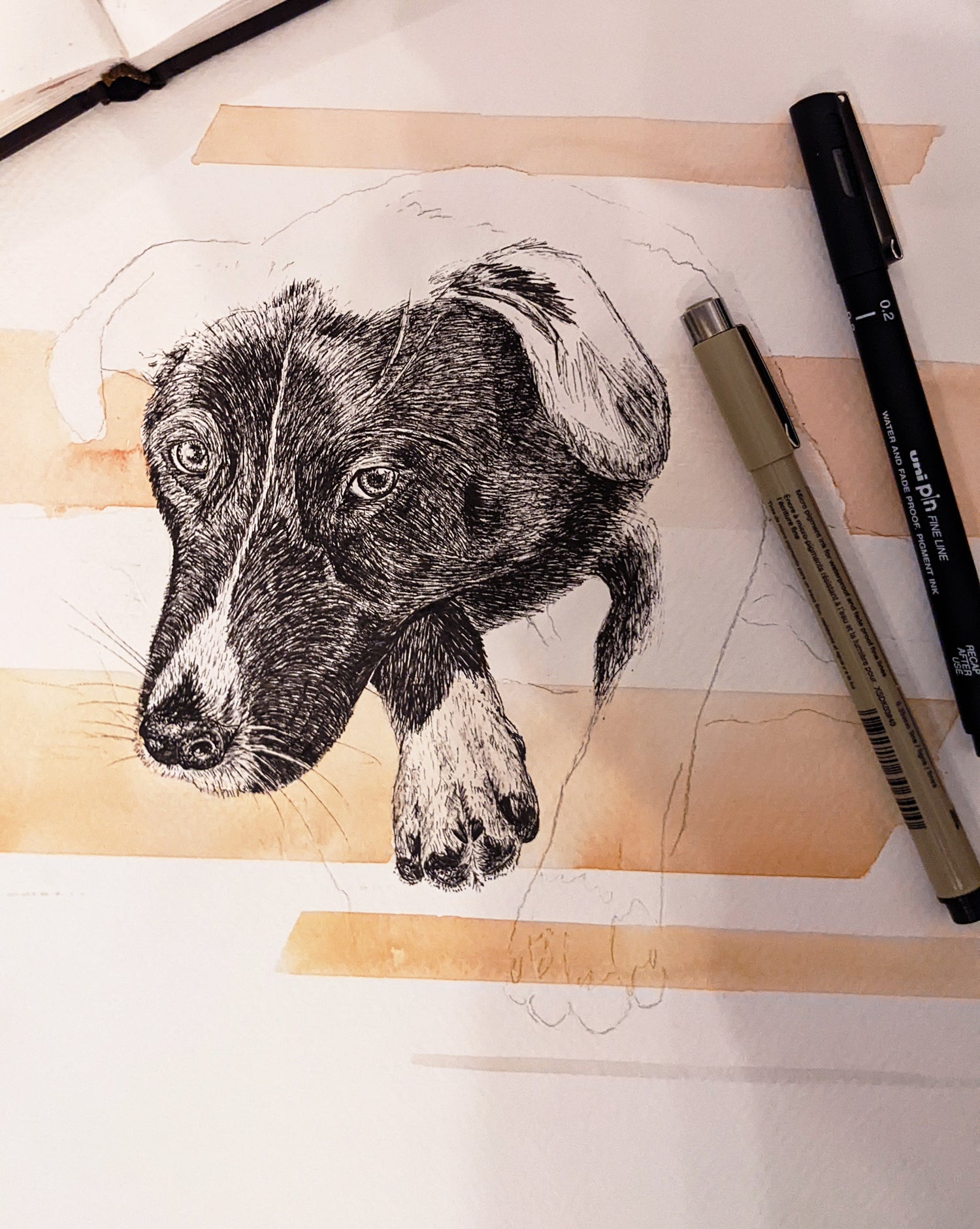 Custom Pet portrait using ink pen and watercolor.