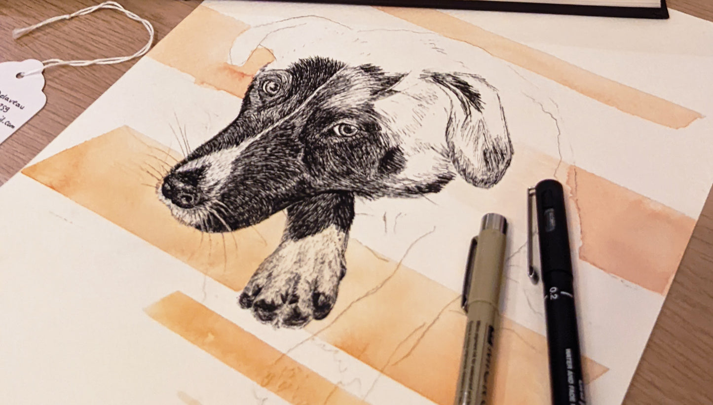 Custom animal portrait